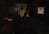snapshot_002_t1.jpg