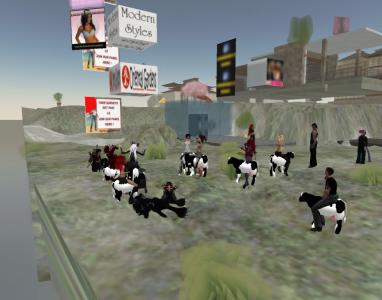 Old CoLA - Cow Party