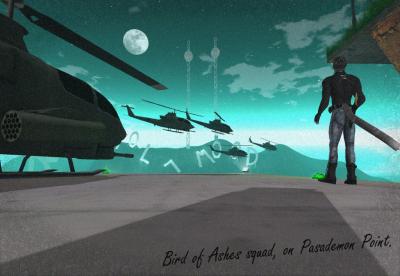Bird of ashes squad