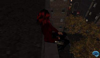 01-19-11_sg_12_001.png